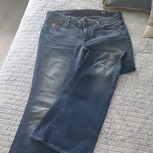 Express Blue Flare Wide Leg Denim